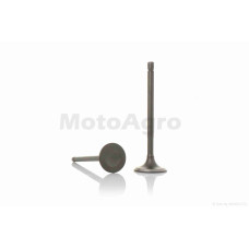 Клапани ГРМ d22.5/25.5 h81/80.5 VECSTAR AN125