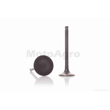 Клапани ГРМ d23.9/29 h79/80.1 WH150