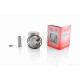 Поршень к-кт  DIO ZX  +0.25  40.25  "MSU"  ТАЙВАНЬ