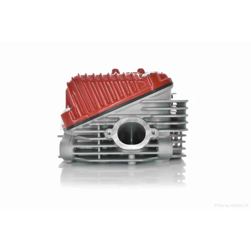 Головка циліндра 172FMM-6 CB250 DOHC 4V D72 у зборі 