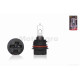 Лампа фари  PH11  12V 40/40W  DIO АF34/35, LEAD AF48  біла  "LIPAI"