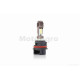 Лампа фари діодна  PH11 12V 40/40W  DIO АF34/35, LEAD AF48  "LIPAI"