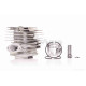 ЦПГ пилки  Goodluck 4500  D43  "RORX"
