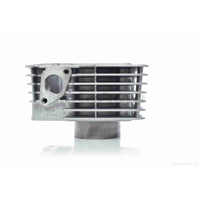 ЦПГ  YBR125  D54, p15, h65.4  #PRO  "LIPAI"