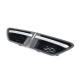 Жабра на Land Rover Range Rover Sport L320 2010-2013 року
