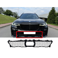 Решітки в бампер на BMW X7 G07 2018-2022 року