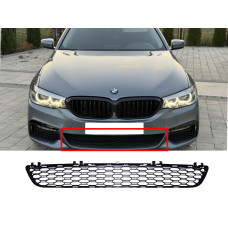 Решітки в бампер центральна в бампер ( M-Paket ) на BMW 5 Series G30 / G31 2017-2020 року
