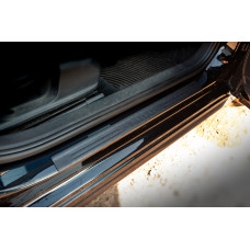 Накладки на пороги DDU (4 шт пластик) для Volkswagen Passat B7 2012-2015 рр