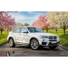 Бокові пороги Allmond Grey (2 шт., Алюміній) для бмв X4 F26 2014-2018 рр