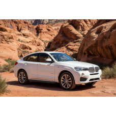 Бокові пороги Tayga Black (2 шт. Алюміній) для бмв X4 F26 2014-2018 рр