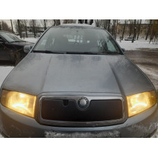 Зимова накладка на решітку Матова для Skoda Fabia 2000-2007 рр
