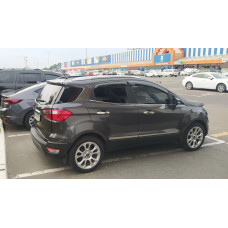 Молдинг дверей (4 шт нерж) для Ford Ecosport 2013-2022 рр