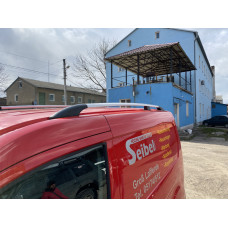 рейлінги Хром Стандартна пластикові ніжки для Ford Connect 2014-2021 рр