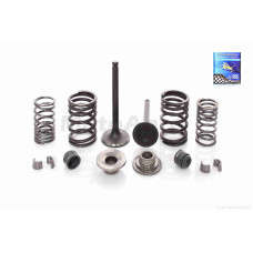 Клапани ГРМ d20/23 h65/65.4 на мопед дельта 70 у зборі "LIPAI"