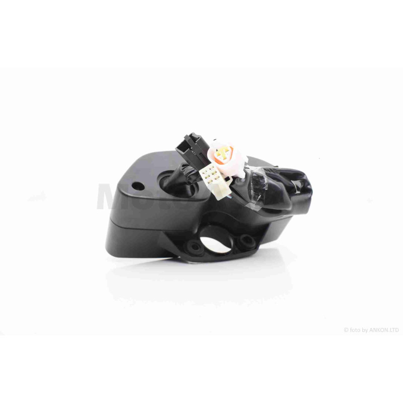 Панель приладів DRAGON 200, MATADOR 200  електронна