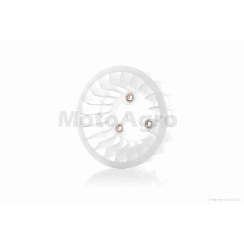 Крильчатка генератора  BWS 100, AXIS 100  4VP  "LIPAI"