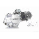 Двигун  1P54FMI  125cc, механіка, алюмінієвий циліндр  "LIPAI"  (Delta, Alpha, Pitbike)