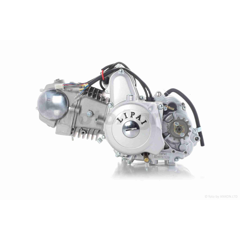Двигун  1P54FMI  125cc, механіка, алюмінієвий циліндр  "LIPAI"  (Delta, Alpha, Pitbike)