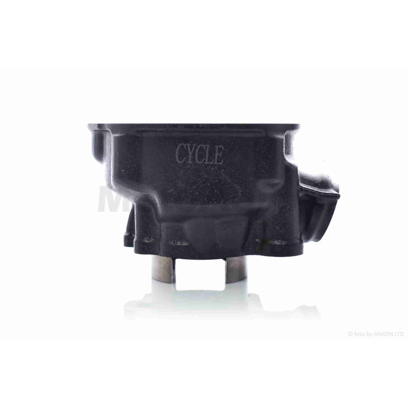 ЦПГ  Minarelly AM6, Piaggio  D40.3  водяне охолодження  "B-CYCLE"