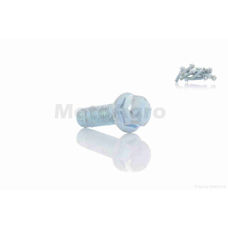 Болт із фланцем  M6  L18  (10шт, хром)