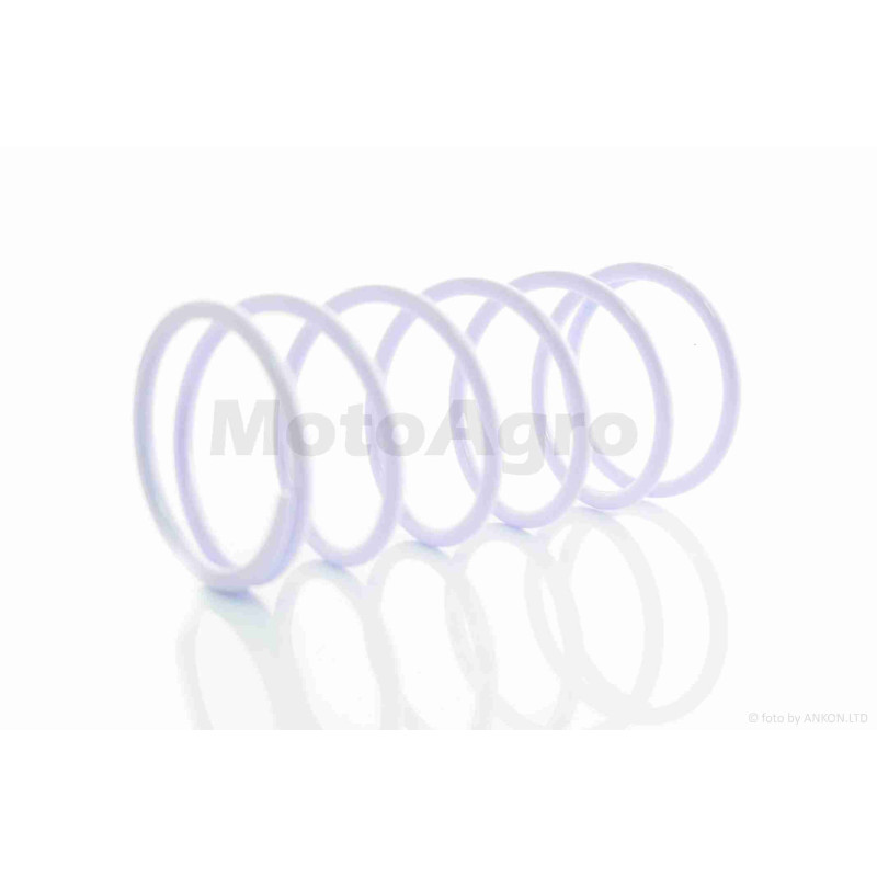 Пружина щоки зчеплення  Suzuki  1000 rpm  "SEE"  (Sheng-E)  ТАЙВАНЬ