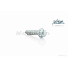 Болт із фланцем M6 L22 (10шт хром)