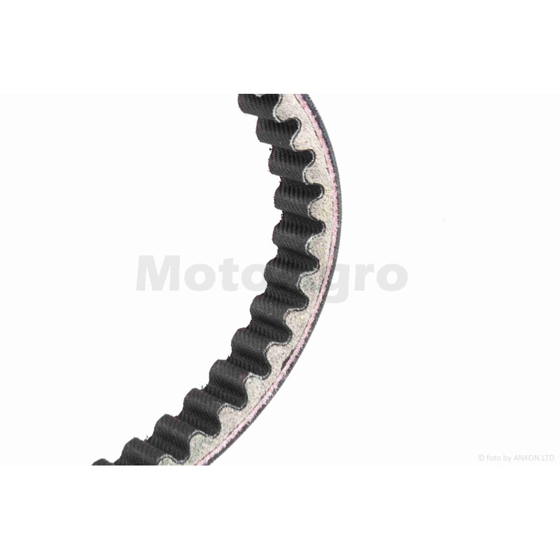 Ремінь варіатора  918-22.0  CH250 (172MM)  "SEE-SL"