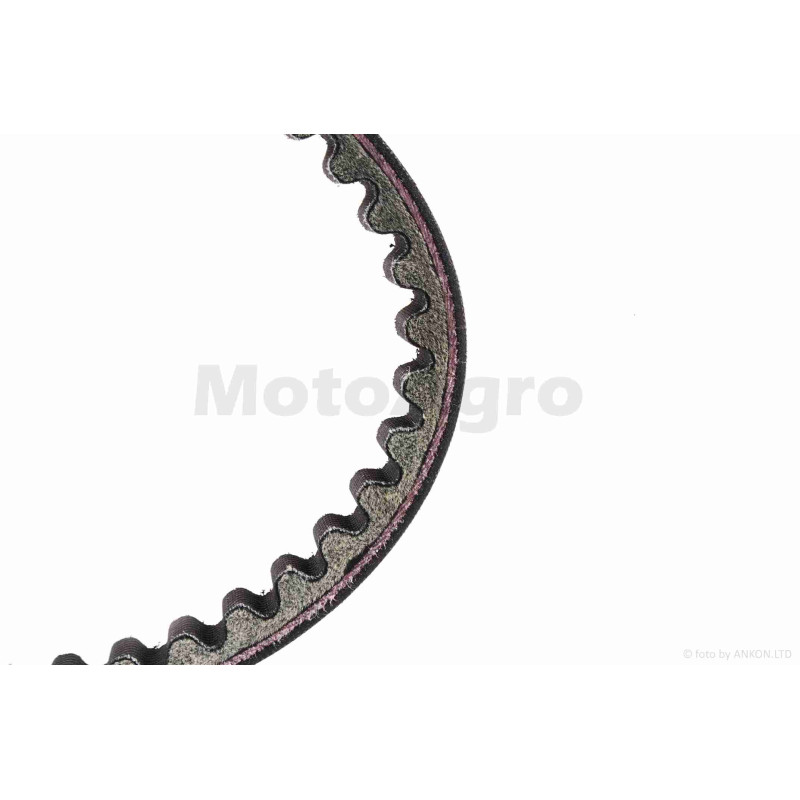 Ремінь варіатора  918-22.0  CH250 (172MM)  "SEE-SL"