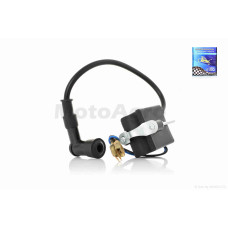 Котушка запалювання веломотора 2T F80 "LIPAI"