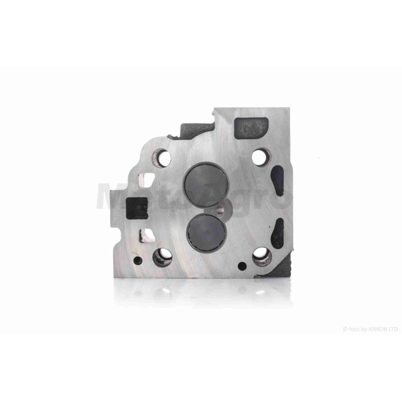 Головка циліндра м/б  195N  у зборі