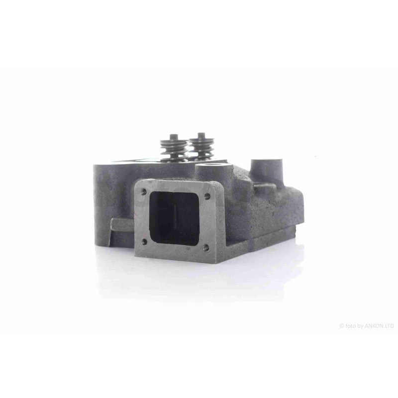 Головка циліндра м/б  195N  у зборі