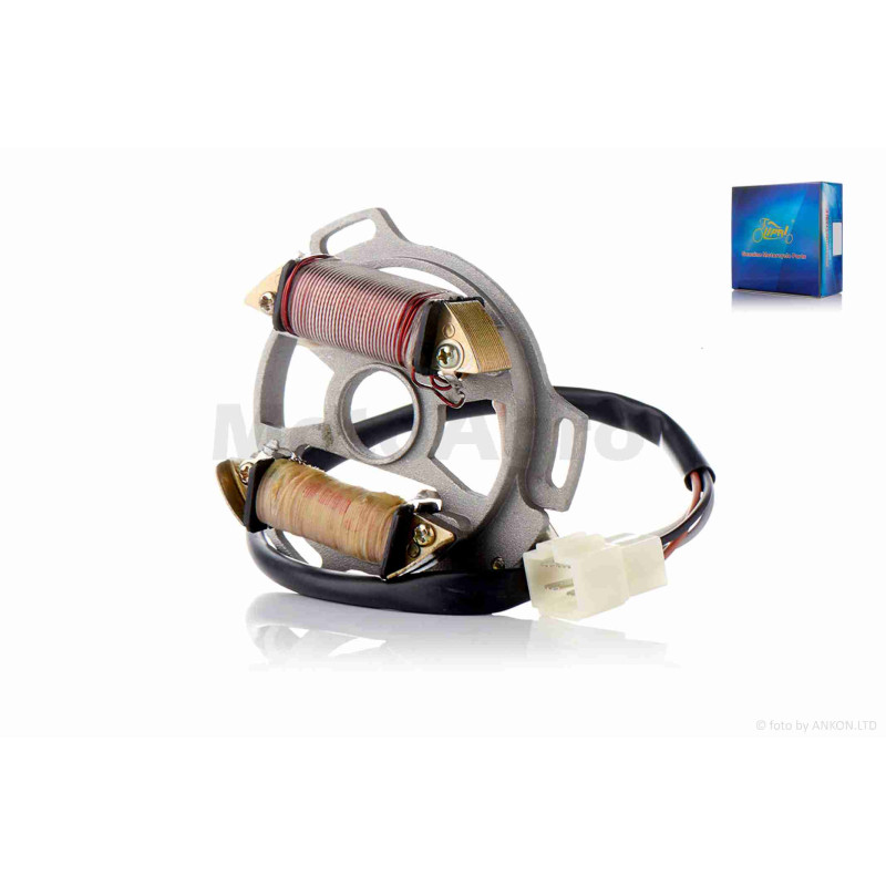 Генератор (статор)  TB60 (2T ланцюг)  1+1  "LIPAI"