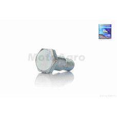 Болт натягувача ланцюга ГРМ на мопед дельта d8 L25 "LIPAI"