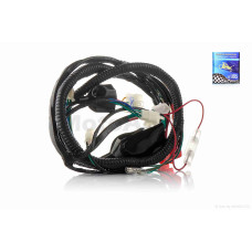 Проведення Active 110 "LIPAI"