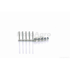 Болти із напівсферичною головкою D-6 L-30mm (10шт)