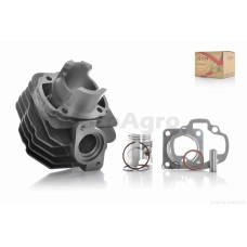 Поршневая циліндр в зборі на скутер хонда діо D39