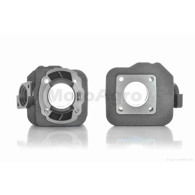 ЦПГ  DIO  D39  "JSBM"