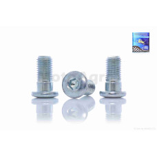Болти потайні к-кт M10 L20 кріплення гальмівного диска