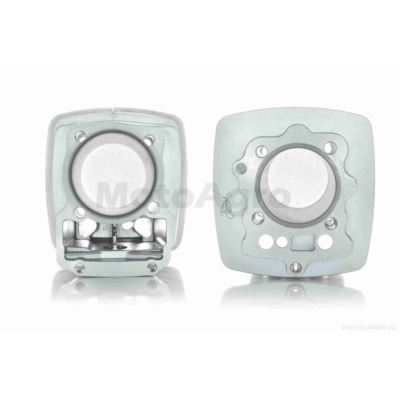 ЦПГ  CG250, NT250 (167FMM, 167FML)  D67, p16, h80  #PRO  "LIPAI"