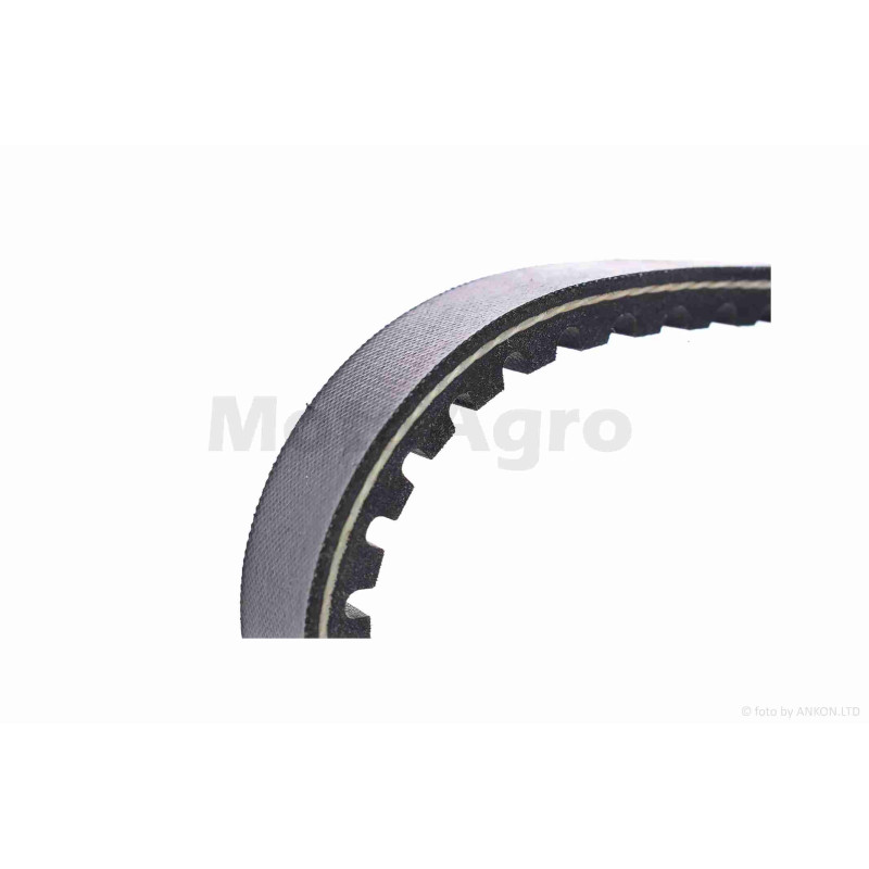 Ремінь варіатора  655-15.5  TACT AF24, GIORNO  "LIPAI"