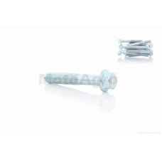 Болт із фланцем M6 L35 (10шт хром)