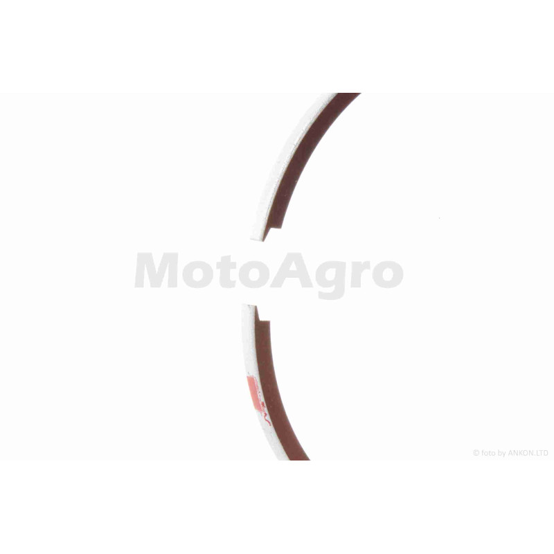 Кільця к-кт LEAD 100 STD 51.00 "SEE" (Sheng-E) ТАЙВАНЬ