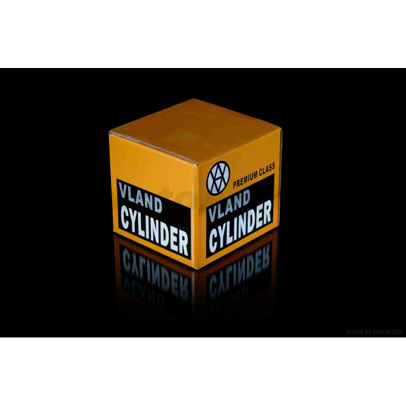 ЦПГ  DIO ZX  D40  "VLAND"  (JCC)  ТАЙВАНЬ