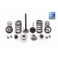 Клапани ГРМ d20/23 h65/65.4 на мопед дельта 110 Active 110 у зборі "LIPAI"