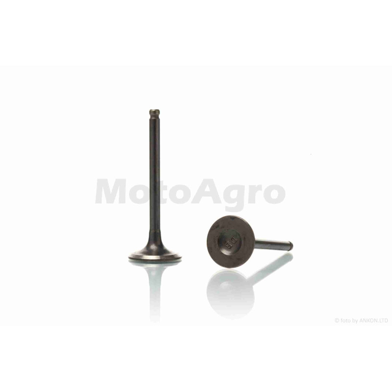 Клапани ГРМ  d26/30, h90/90  GS125  "LIPAI"