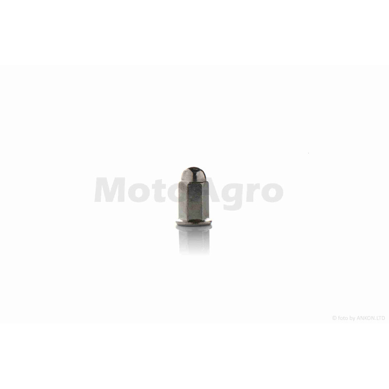 Гайка шпильки циліндра  Alpha, Delta  6*21  "LIPAI"