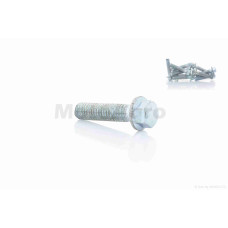 Болт із фланцем M6 L25 (10шт хром)