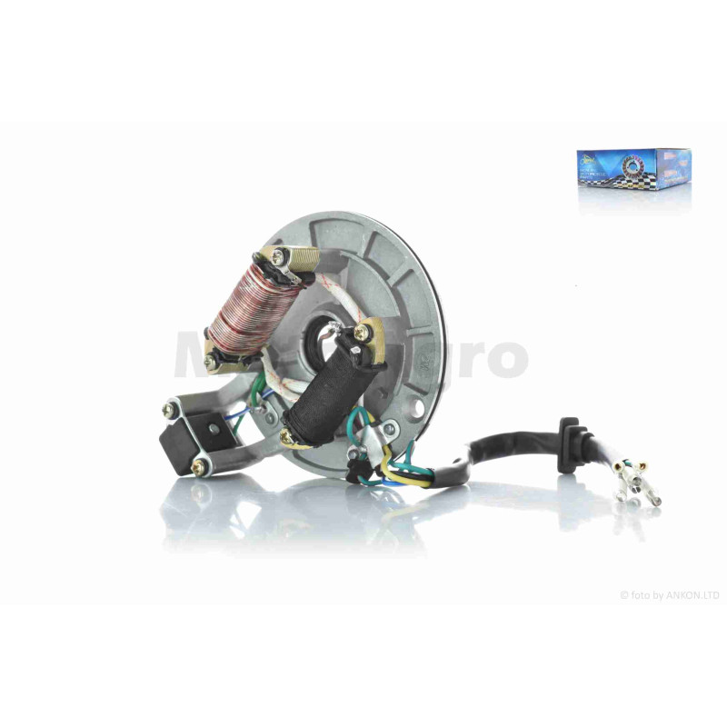 Генератор (статор)  Delta  1+1  безстартерний  "LIPAI"