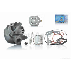 Поршневая циліндр в зборі Minarelli LC AEROX тюнінг D47 водяне охолодження +головка PRO "LIPAI"