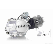 Двигун 1P52FMH 110cc механіка "LIPAI"